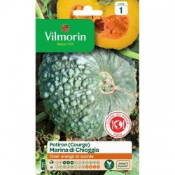 Vilmorin - Courge marina di chioggia