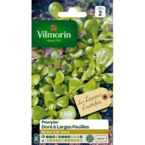 Vilmorin - Pourpier doré à larges feuilles