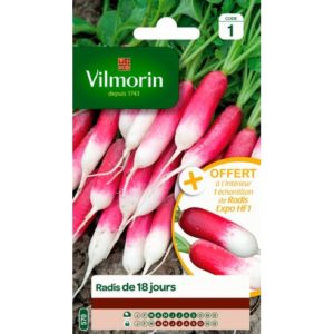 Vilmorin - Radis de 18 jours + échantillon expo hf1
