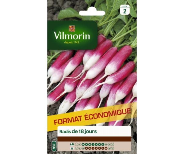 Vilmorin - Radis de 18 jours grand format