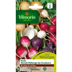 Vilmorin - Radis rond mel couleurs