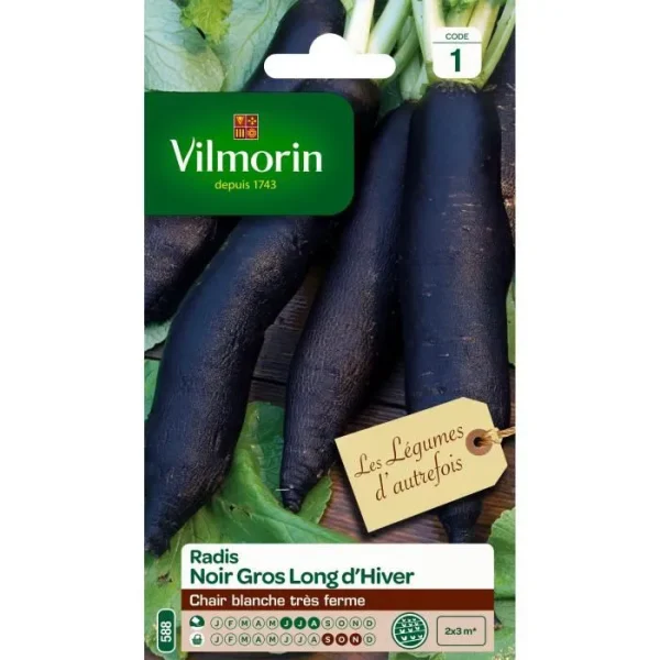 Vilmorin - Radis noir gros long d'hiver