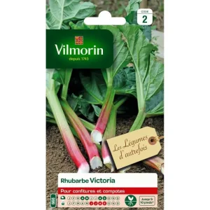 Vilmorin - Rhubarbe victoria