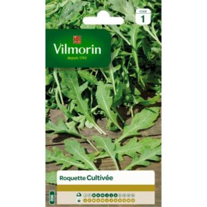 Vilmorin - Roquette cultivée