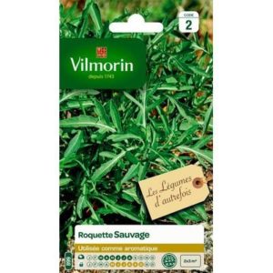 Vilmorin - Roquette sauvage
