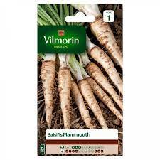 Vilmorin - Salsifis mammouth V