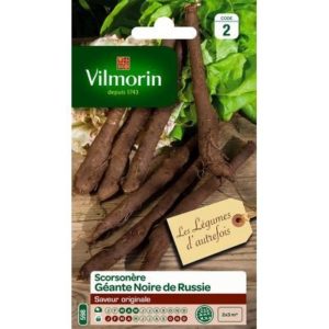 Vilmorin - Scorsonère géante noire de russie