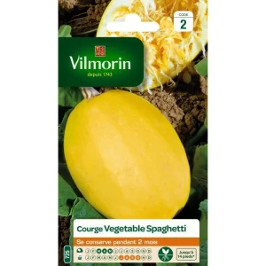 Vilmorin - Courgette végétable spaghetti