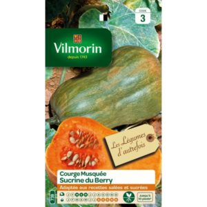 Vilmorin - Courge sucrine de berry