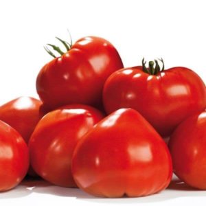 Plant Tomate rouge Coeur lisse 'Gourmandia' F1: Pot 10.5cm rouge