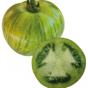 Plant Tomate verte 'Green zebra': Pot 10.5cm vert