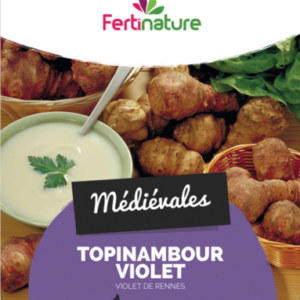 Topinambour violet de rennes: 5 plants