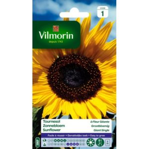 Vilmorin - Tournesol geant
