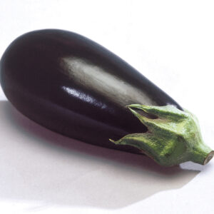 Plant Aubergine greffée 'Cristal' F1: Pot 1 Litre Gris