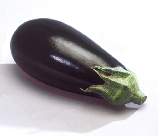Plant Aubergine greffée 'Cristal' F1: Pot 1 Litre Gris