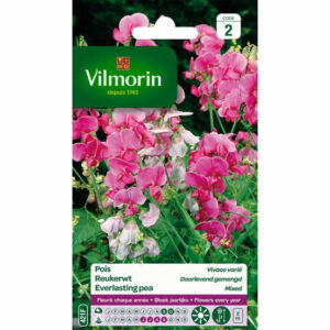 Vilmorin - Pois Vivaces