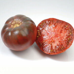 Plant Tomate noir 'Noire de crimée': Pot 10.5cm violet
