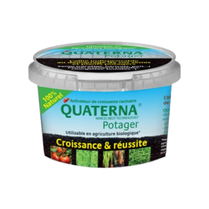 Quaterna potager